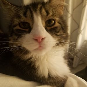 Meet your Posher, Kathy